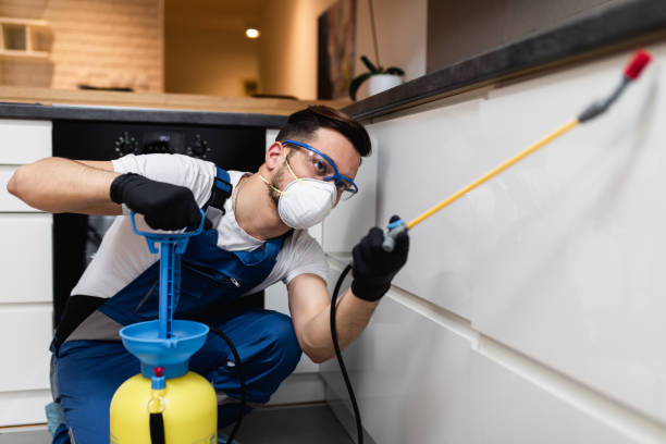 Pest Control for Restaurants in Picayune, MS
